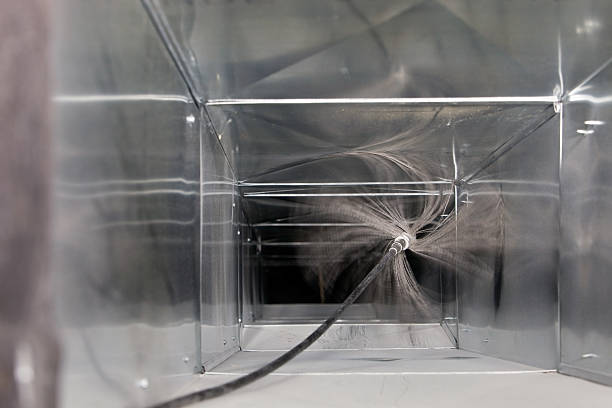 Best Air Duct Mold Removal  in Grottoes, VA